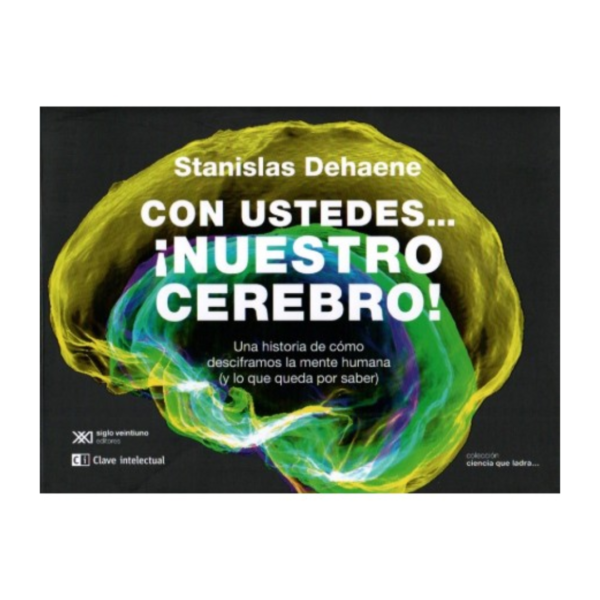 Con ustedes...¡nuestro cerebro!