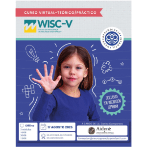 WISC V